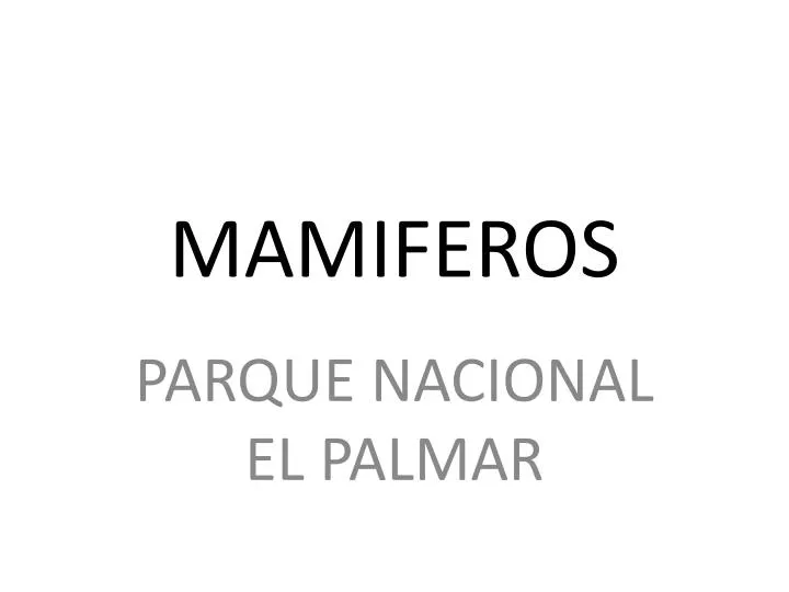 mamiferos