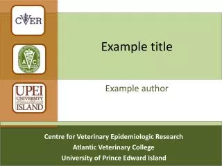 example title