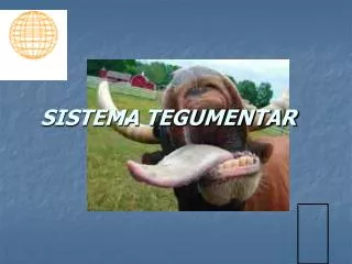 sistema tegumentar