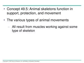 Concept 49.5: Animal skeletons function in support, protection, and movement