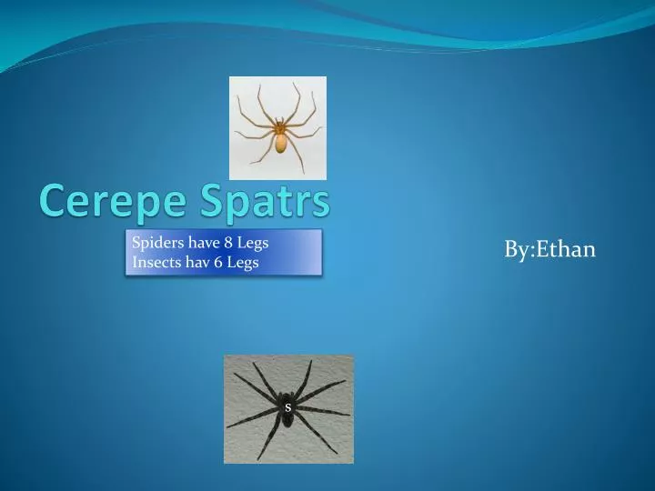 cerepe spatrs