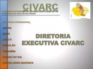 DIRETORIA EXECUTIVA CIVARC