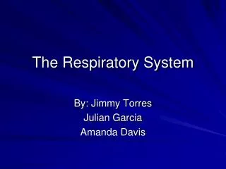 The Respiratory System