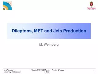 Dileptons, MET and Jets Production