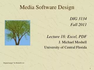 Media Software Design