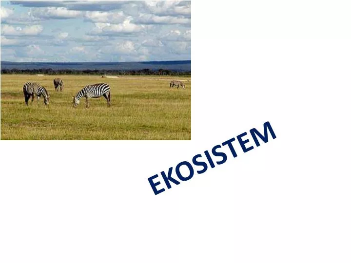 ekosistem