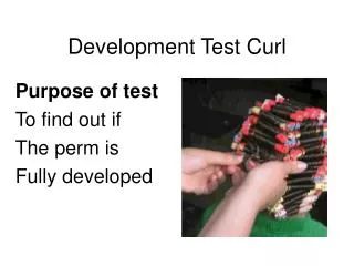 Development Test Curl