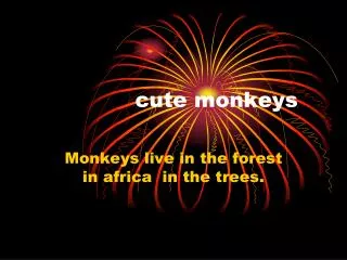cute monkeys
