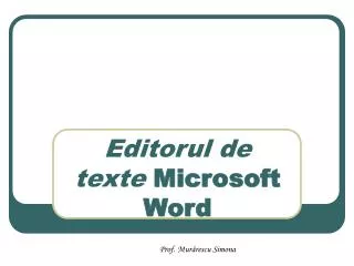 editorul de texte microsoft word