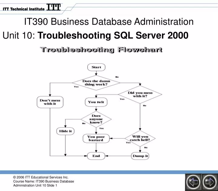 it390 business database administration