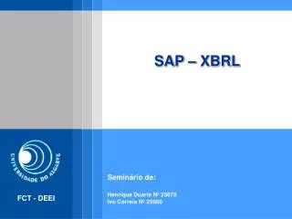 sap xbrl