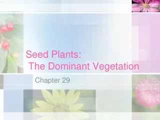 Seed Plants: The Dominant Vegetation