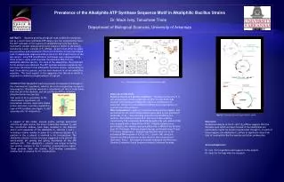 Prevalence of the Alkaliphile ATP Synthase Sequence Motif in Alkaliphilic Bacillus Strains