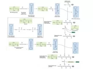 5 Solid phase syntheses 150