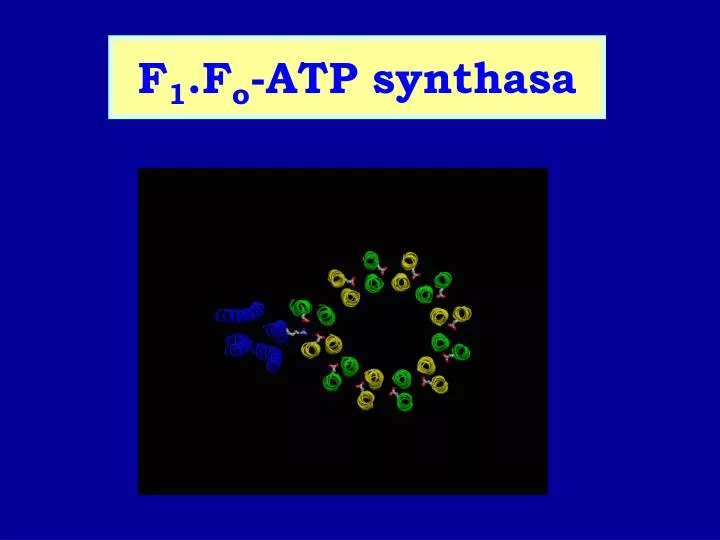 f 1 f o atp synthasa