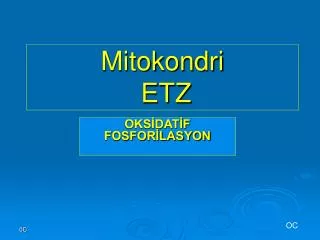 mitokondri etz