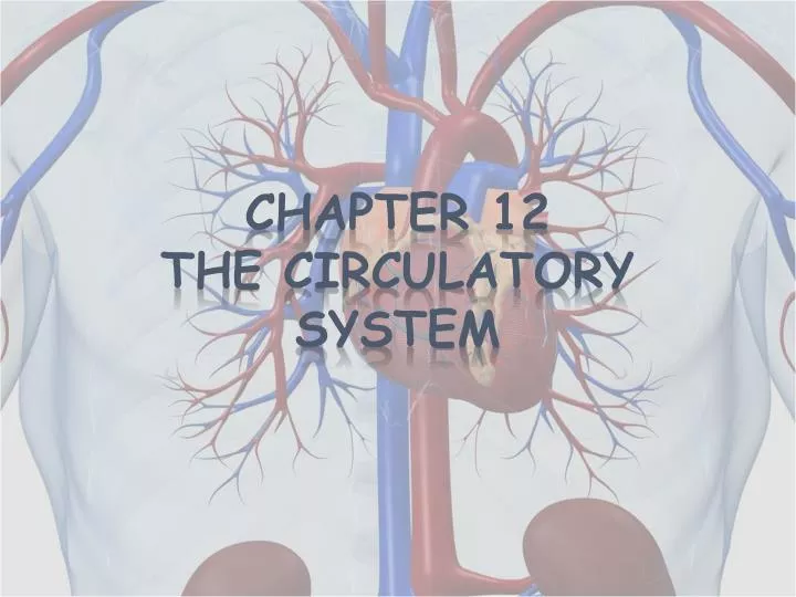 chapter 12 the circulatory system