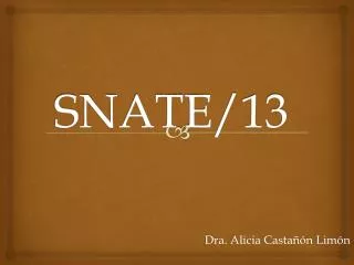 snate 13