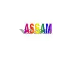 ASSAM - slide 1