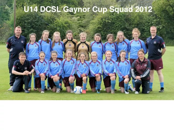 u14 dcsl gaynor cup squad 2012