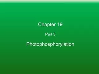 Chapter 19 Part 3 Photophosphorylation