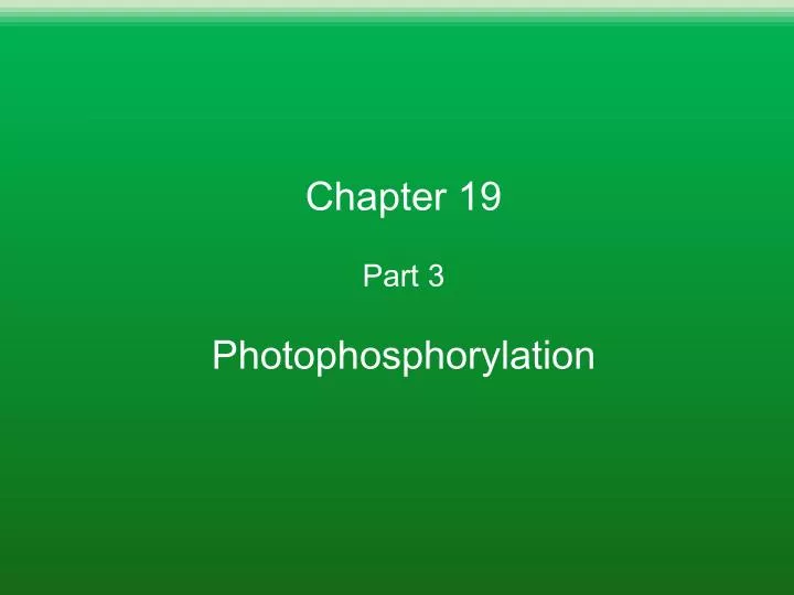chapter 19 part 3 photophosphorylation