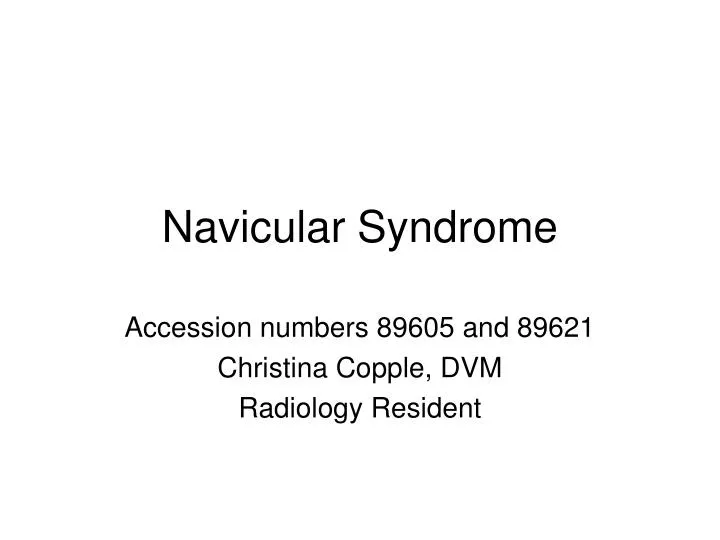 navicular syndrome