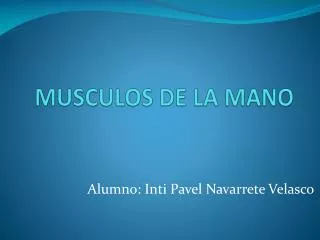 musculos de la mano