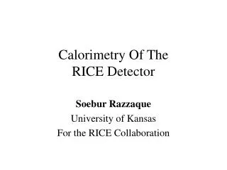 Calorimetry Of The RICE Detector