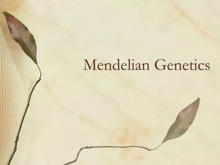 mendelian genetics