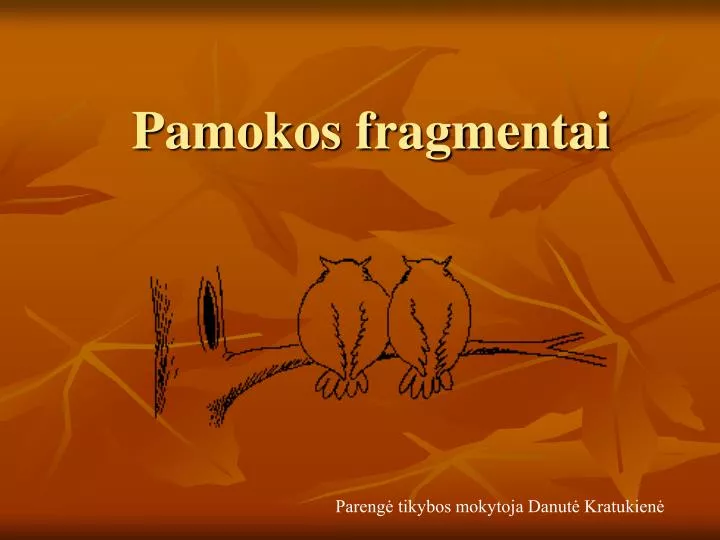 pamokos fragmentai