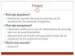 Vragen - slide 1
