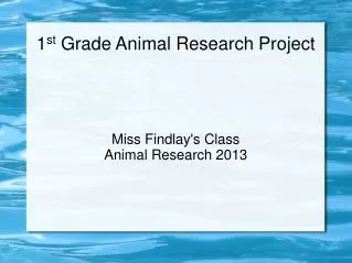 1 st Grade Animal Research Project