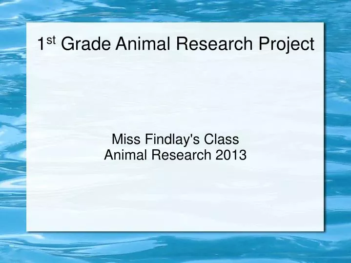 miss findlay s class animal research 2013
