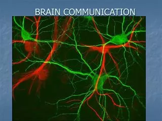 BRAIN COMMUNICATION