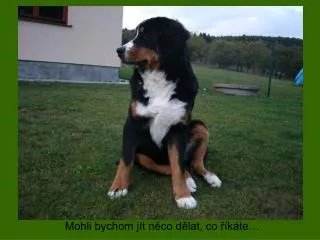 mohli bychom j t n co d lat co k te