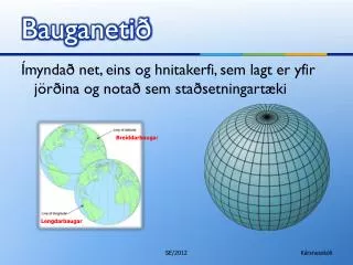 Bauganetið