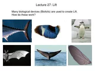 Lecture 27: Lift