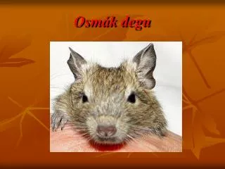 osm k degu