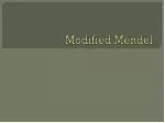 Modified Mendel - slide 1