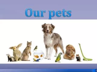 Our pets