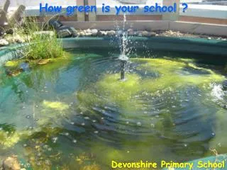 How green is your school ?