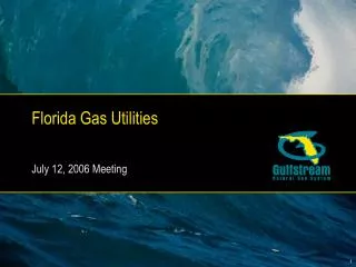 Florida Gas Utilities July 12, 2006 Meeting