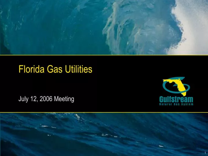 florida gas utilities july 12 2006 meeting