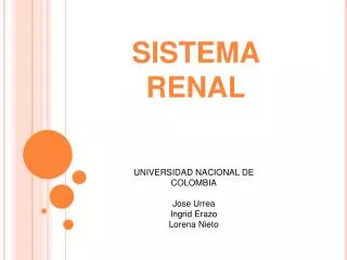 sistema renal