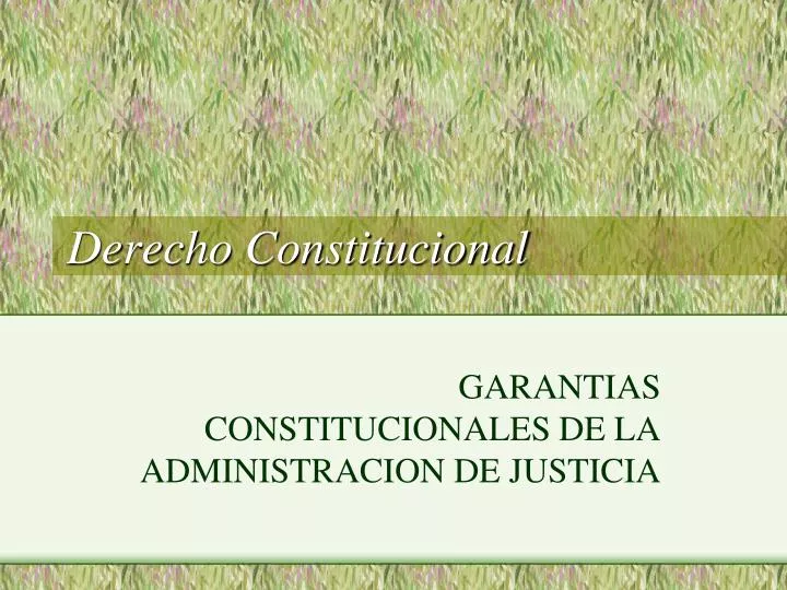 derecho constitucional