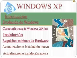 windows xp