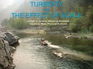 TURBIDITY and THE EFFECT OF SCALE