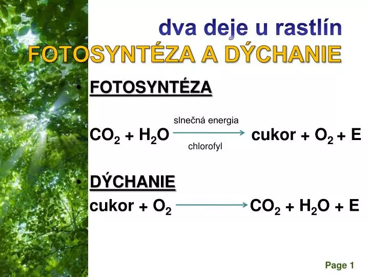 dva deje u rastl n fotosynt za a d chanie