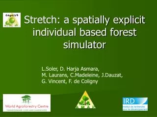 Stretch: a spatially explicit individual based forest simulator